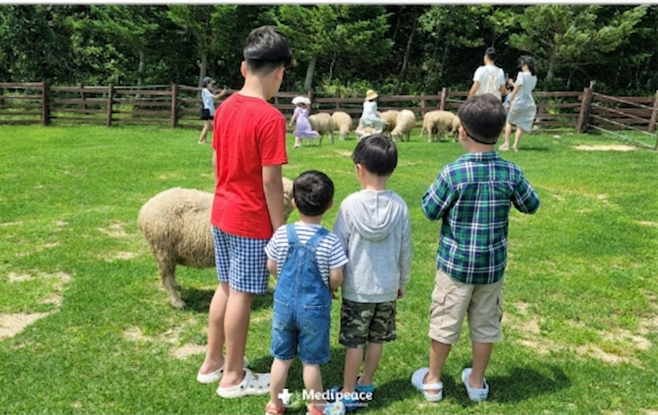 그룹홈 지원